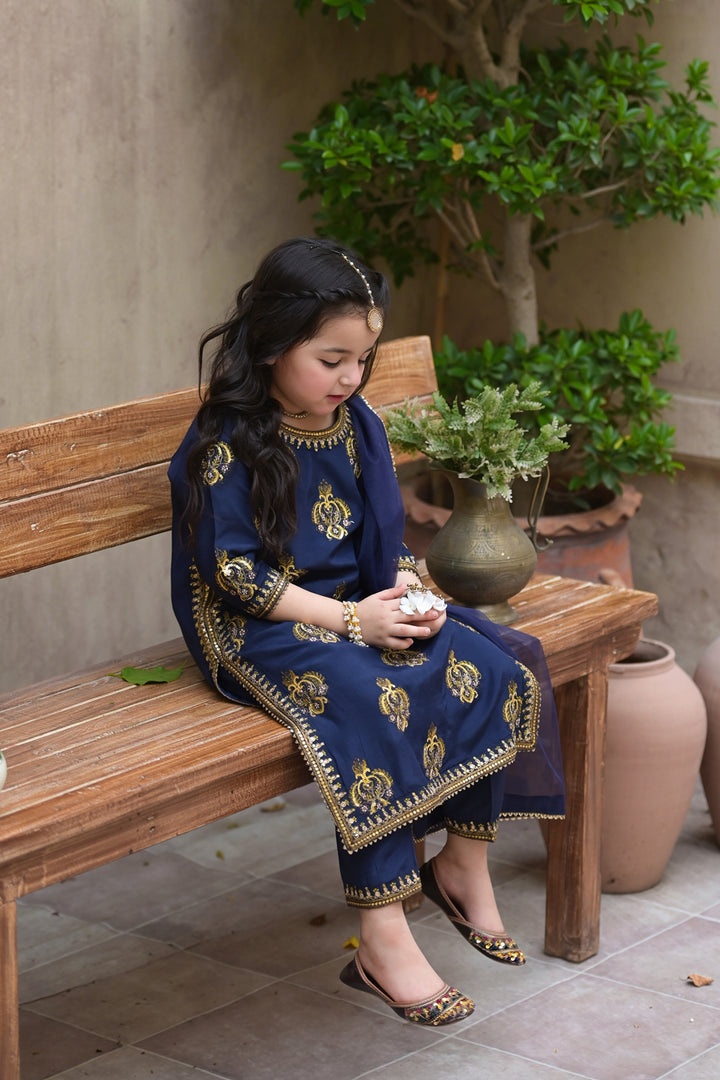 Mini Mehar