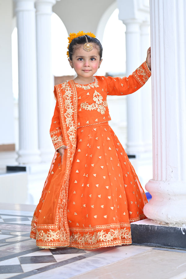 Mini Nayyab Orange
