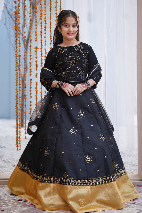 Mini Sitara