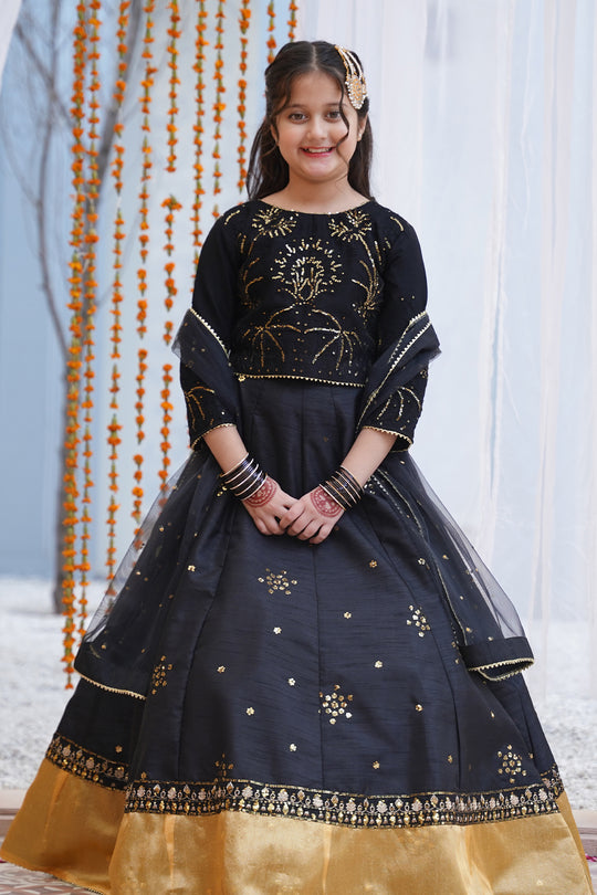 Mini Sitara